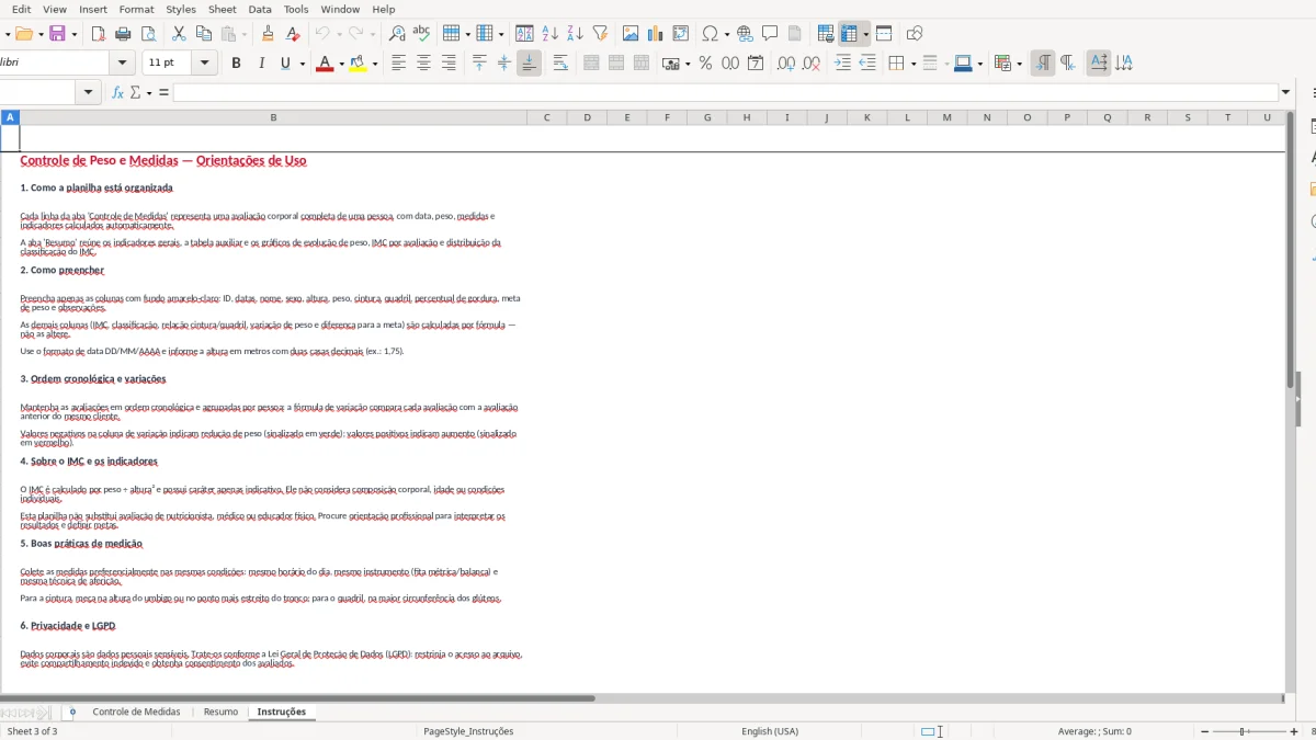 Screenshot 3: Instruções tab - Excel template controle de peso e medidas